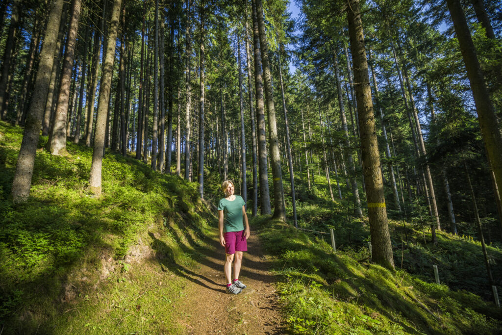 Alpirsbacher Tourentipp Zinsbachtal