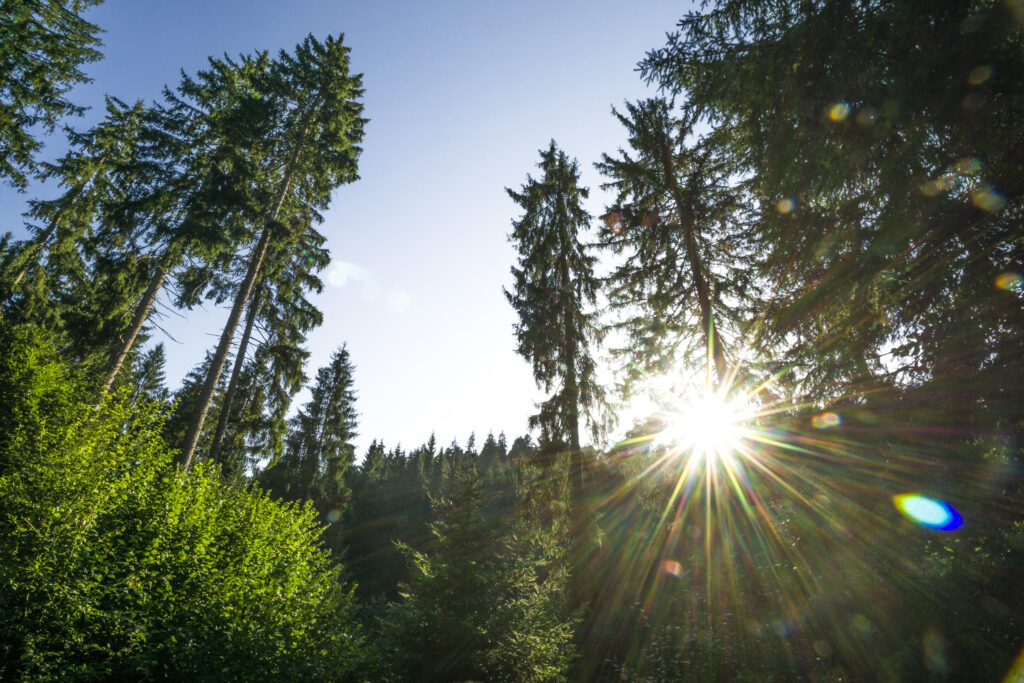 Alpirsbacher Tourentipp Zinsbachtal