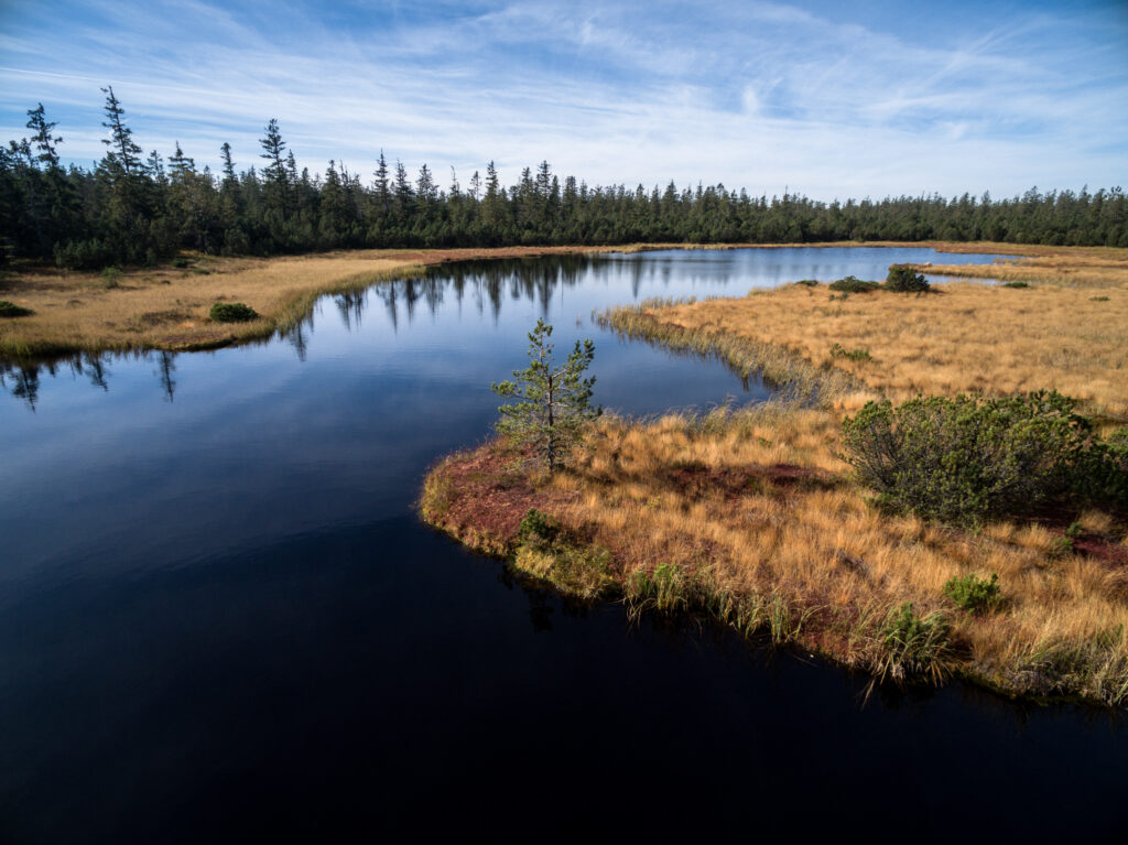 Klimatipp des Monats - torffreie Pflanzenerde