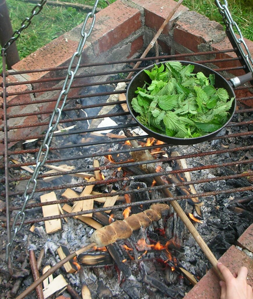 Kräuterquiz Giersch