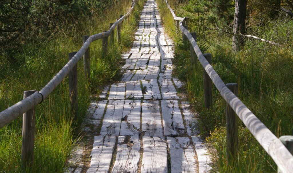Masterplan Kaltenbronn - Zwischenbilanz