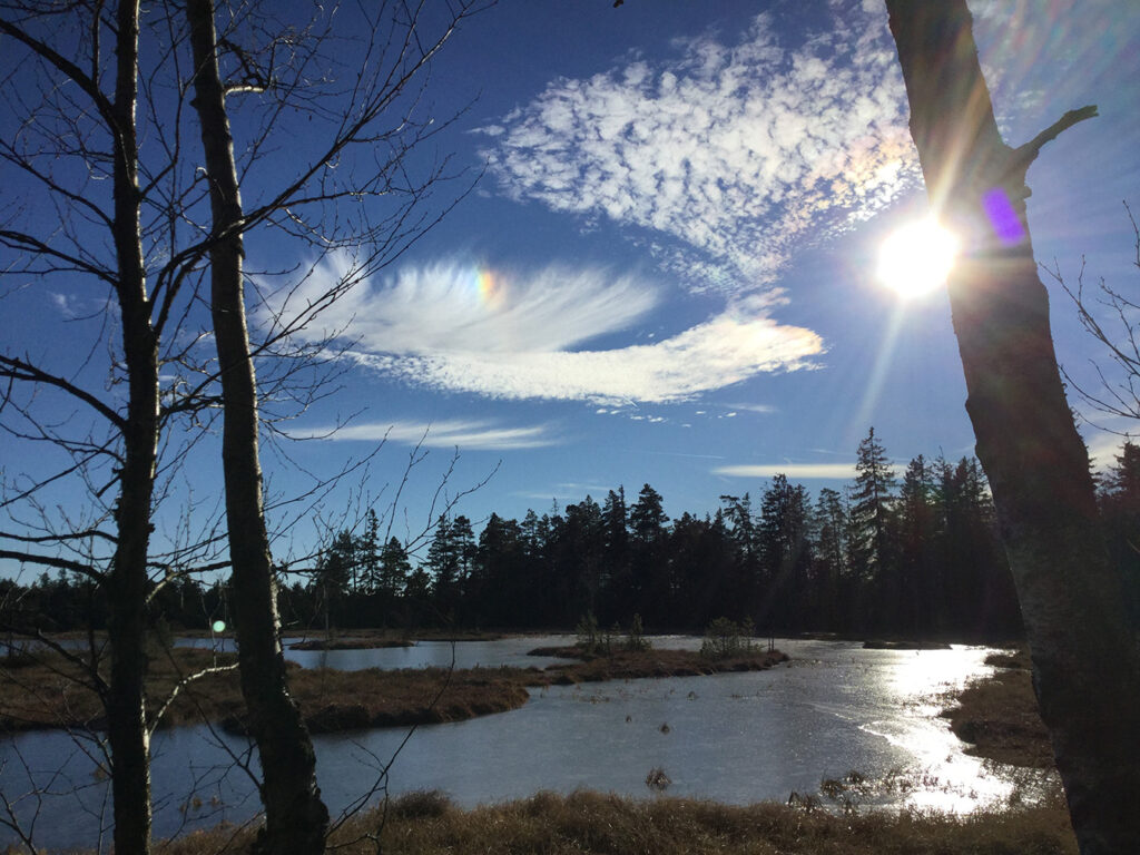 Masterplan Kaltenbronn - Zwischenbilanz