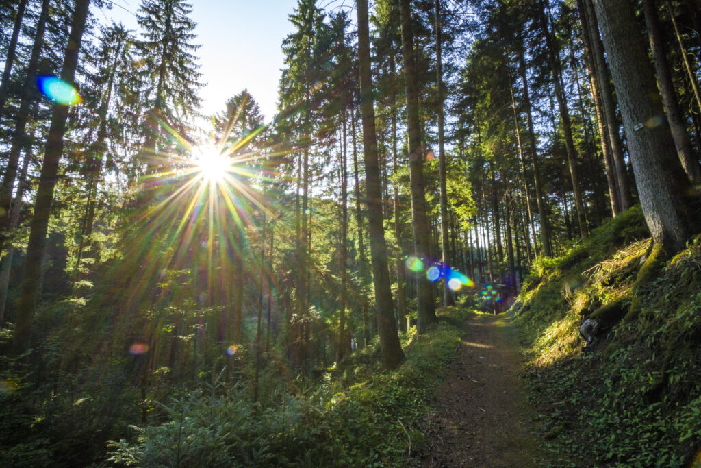Alpirsbacher Tourentipp Zinsbachtal
