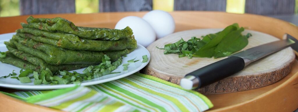 Wildkräuter und Wildpflanzen: Bärlauch, der wilde Knoblauch