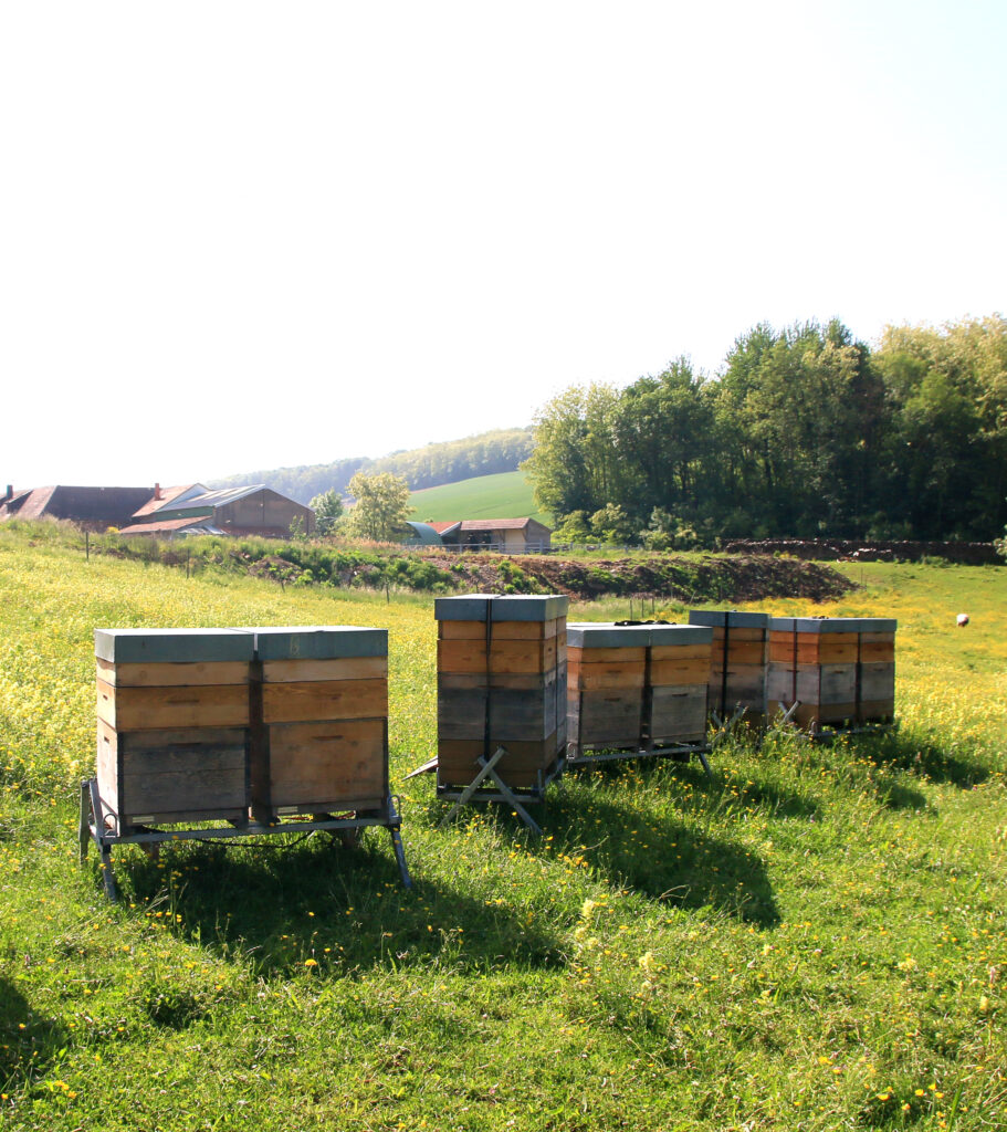 Cum Natura Imkerei und Landschaftspflege