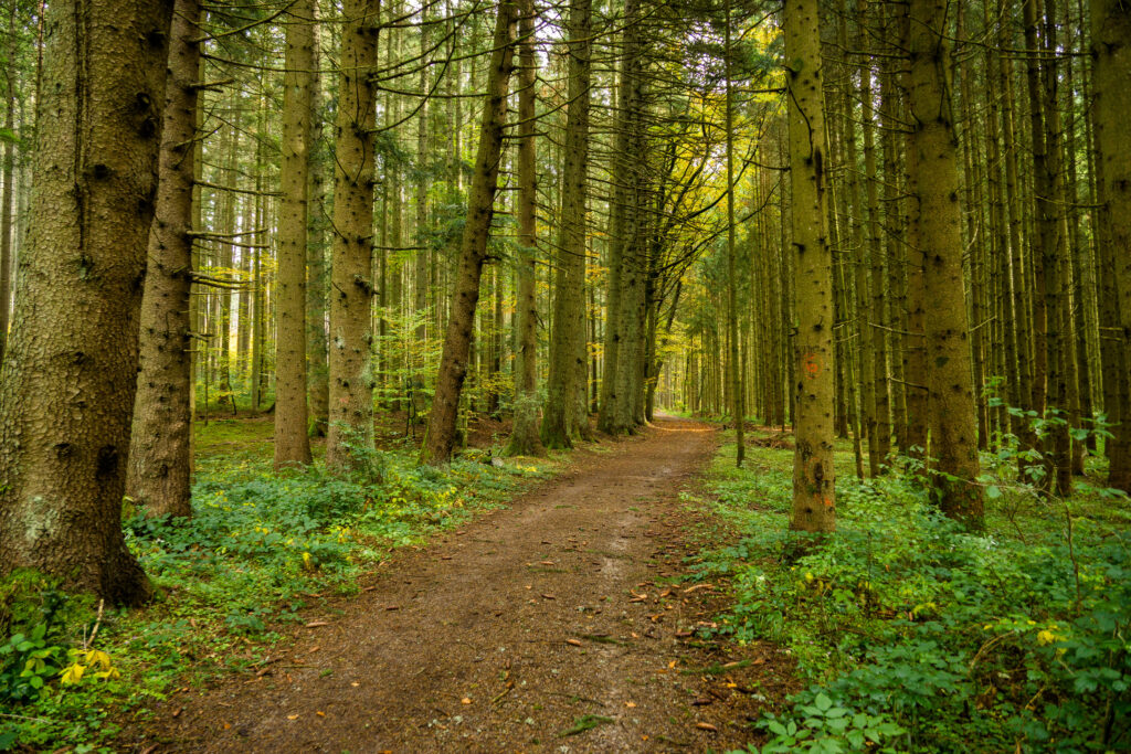 Alpirsbacher Tourentipp - Stiefelreise Oberes Nagoldtal