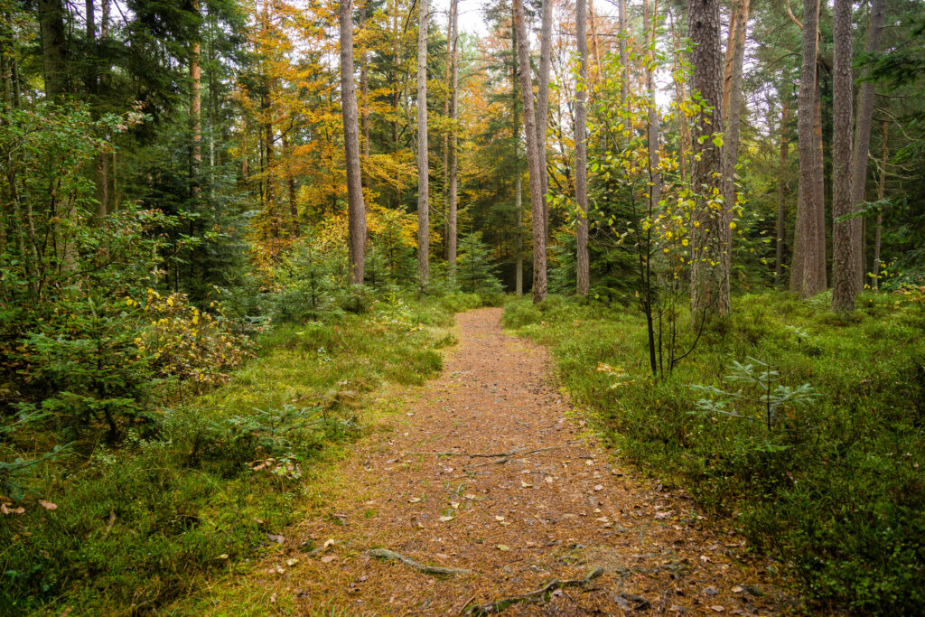 Alpirsbacher Tourentipp - Stiefelreise Oberes Nagoldtal