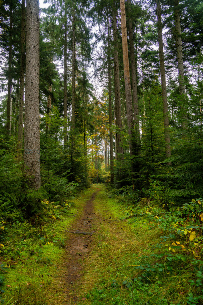 Alpirsbacher Tourentipp - Stiefelreise Oberes Nagoldtal