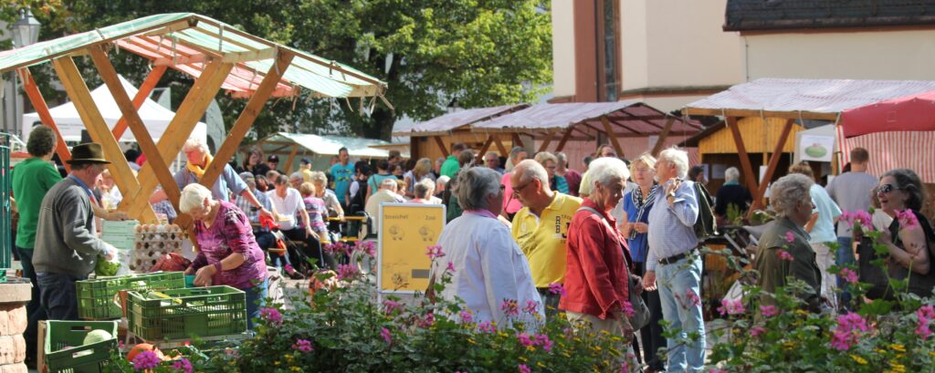 Erste Ideen und Projekte sind im Bewerbungskonzept der Bio-Musterregion skizziert – etwa die Organisation von Bio-Messen sowie Erzeugermärkten.