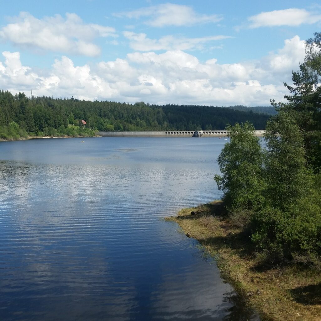 Klimatipp des Monats - Ökostrom