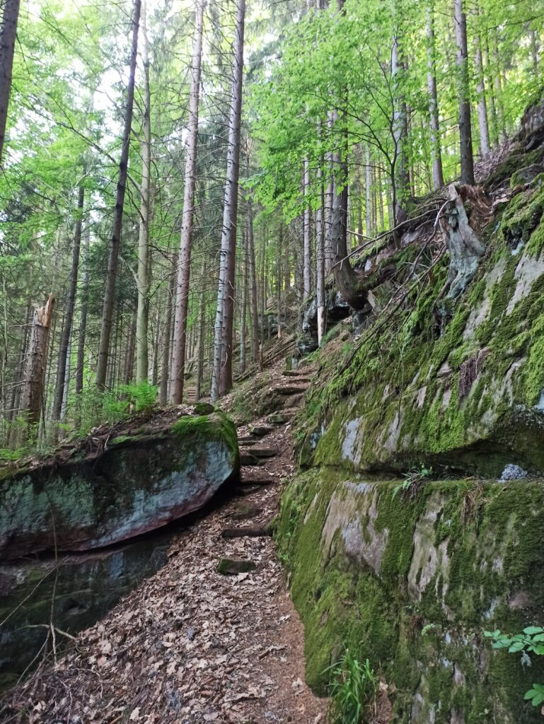 Alpirsbacher Tourentipp - Sulzkar