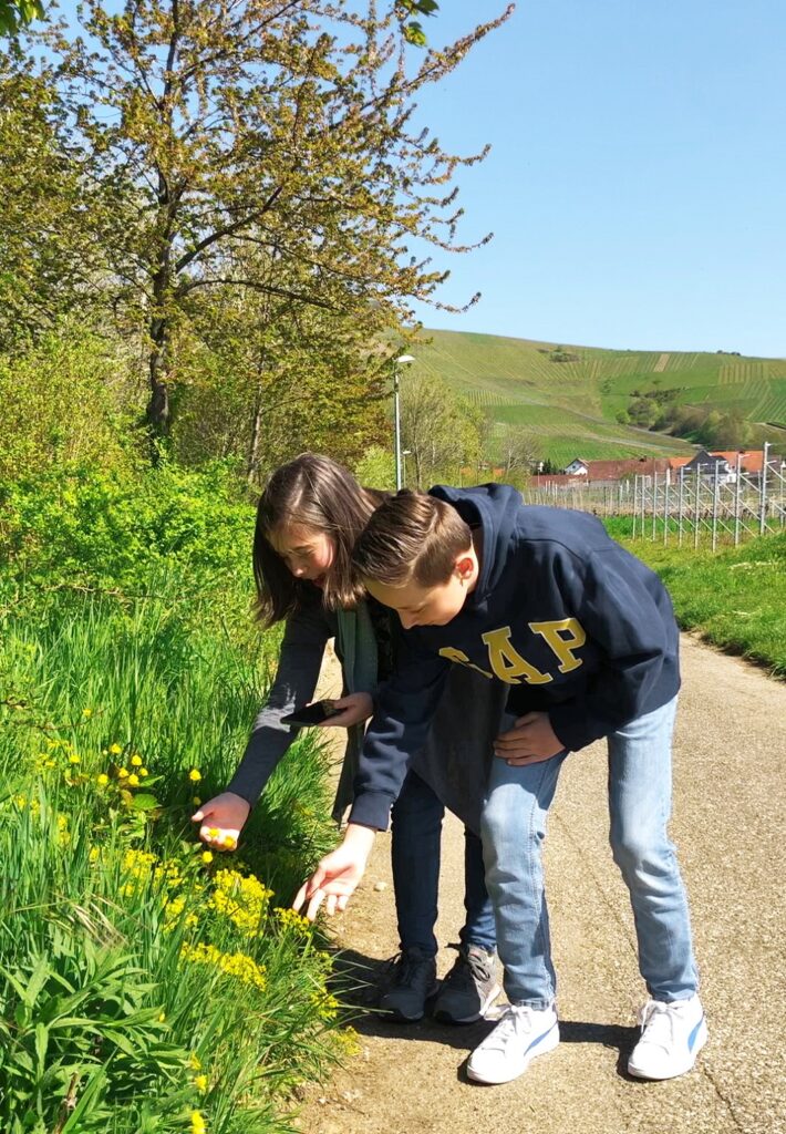 Der Europäische Tag der Parke