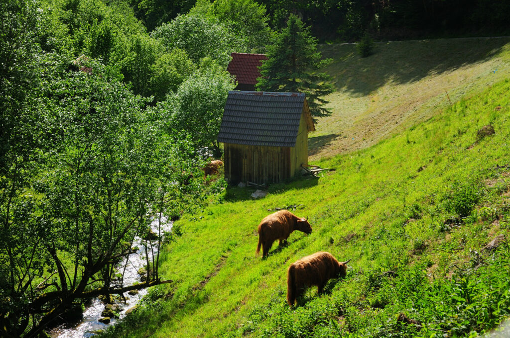 Naturpark-Detektive Sommer-Erlebnistour Schnitzeljagd
