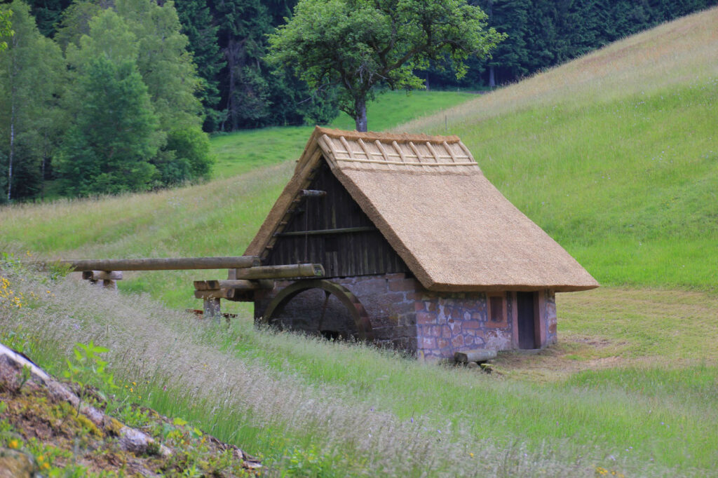 Naturpark-Detektive Sommer-Erlebnistour Schnitzeljagd