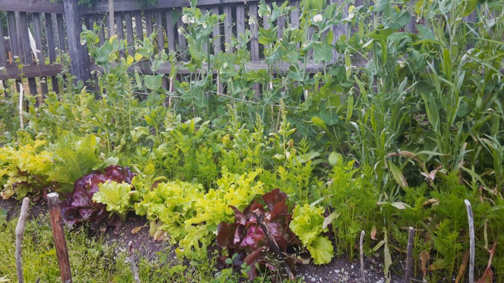 Naturpark-Detektive Sommer-Erlebnistour Schnitzeljagd