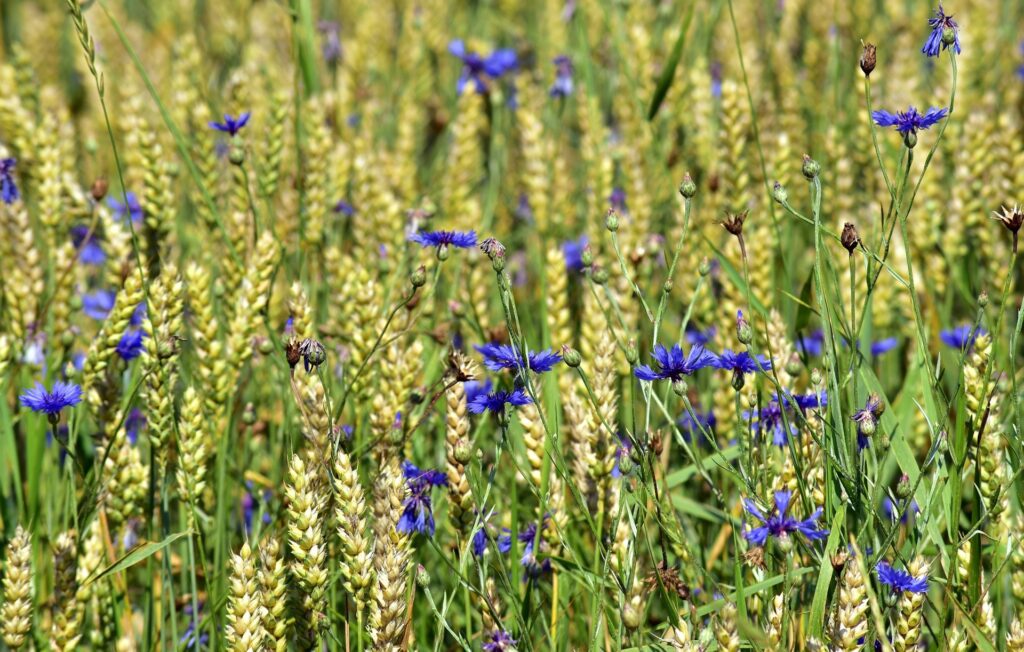 Naturpark-Detektive Sommer-Erlebnistour Schnitzeljagd