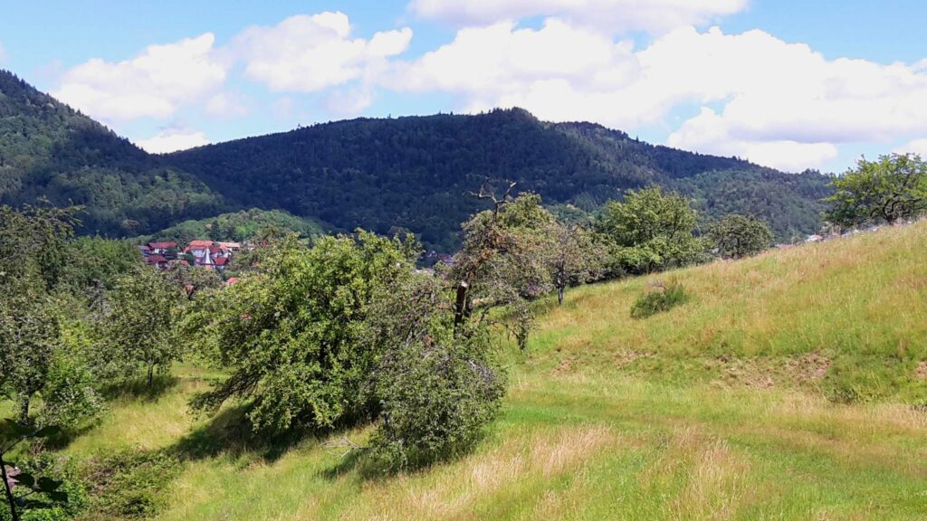 Naturpark-Detektive Sommer-Erlebnistour Schnitzeljagd