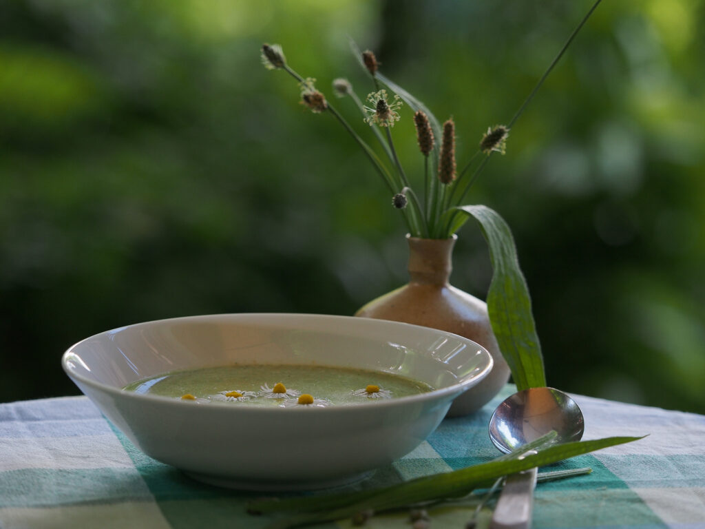 Spitzwegerich - König des Weges
