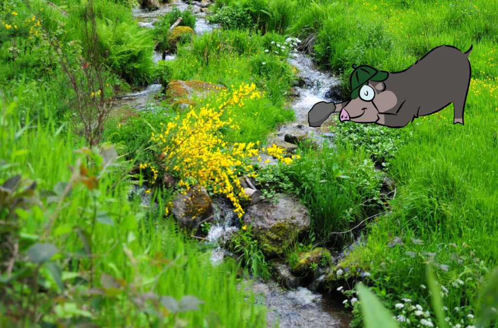 Naturpark-Detektive Sommer-Erlebnistour Schnitzeljagd