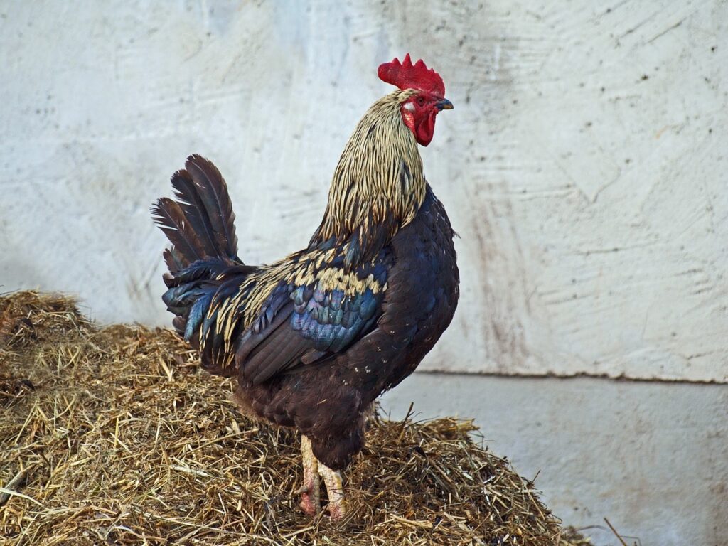 Naturpark-Detektive Sommer-Erlebnistour Schnitzeljagd