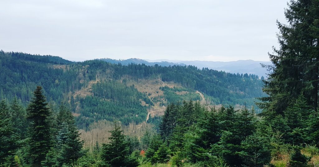 Alpirsbacher Tourentipp - Ins Dantersbachtal und zum Heidenstein
