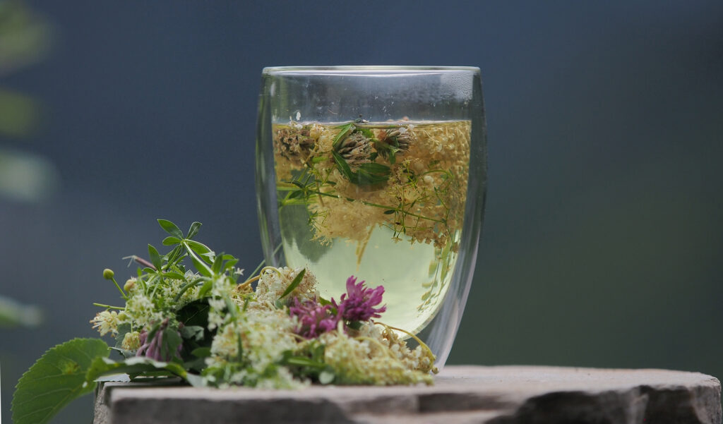 Kräuterquiz Mädesüß - Königin der Wiesen