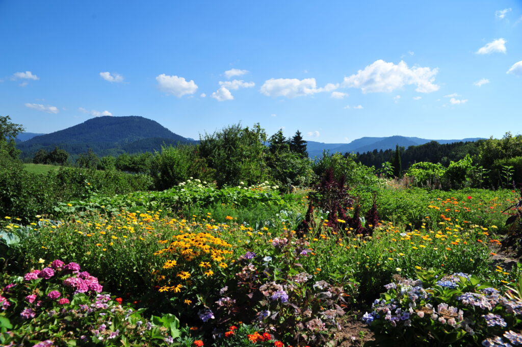 Naturpark-Vespertour 2021