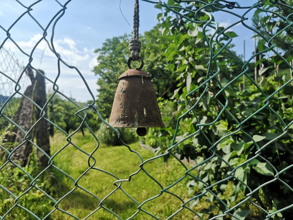 Naturpark-Detektive Actionbound-Tour Kulturlandschaft Weisenbach
