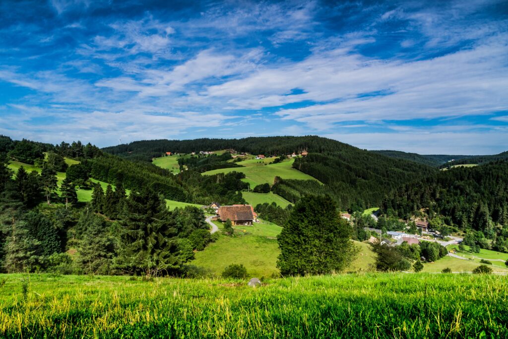 Naturpark-Vespertour 2021