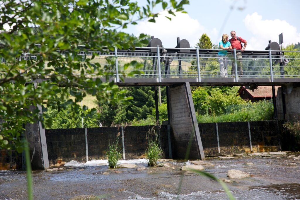 Flößerpfad Kinzigtal