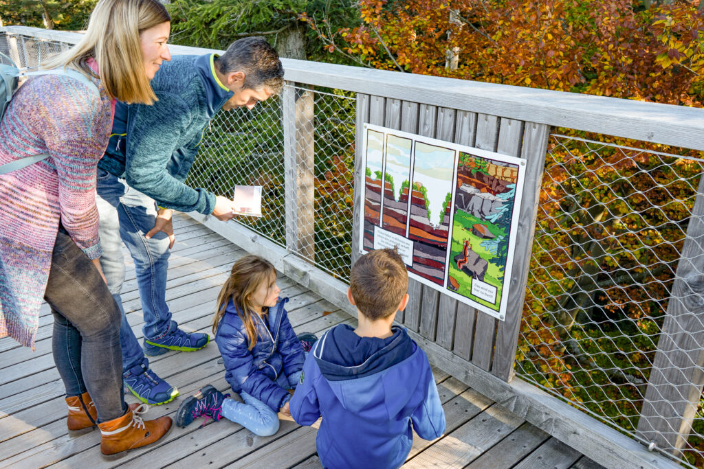 AOK-Gesundheitstipp - Baumwipfelpfad - Ausflug mit Kindern in die Natur