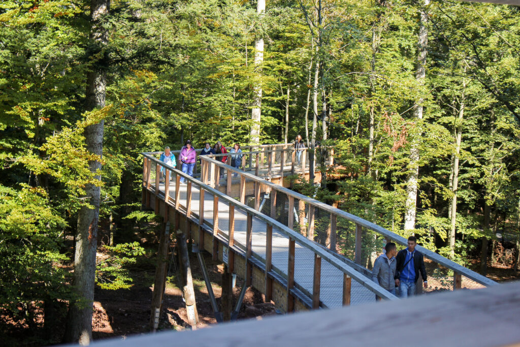 Baumwipfelpfad Schwarzwald