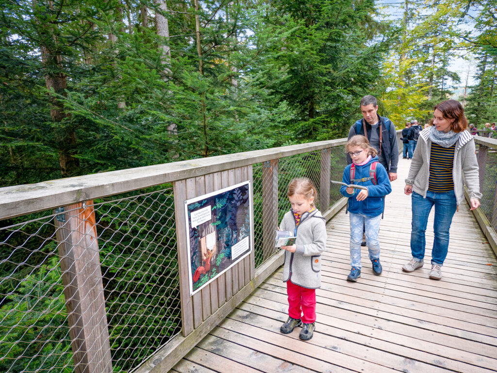 AOK-Gesundheitstipp - Baumwipfelpfad - Ausflug mit Kindern in die Natur