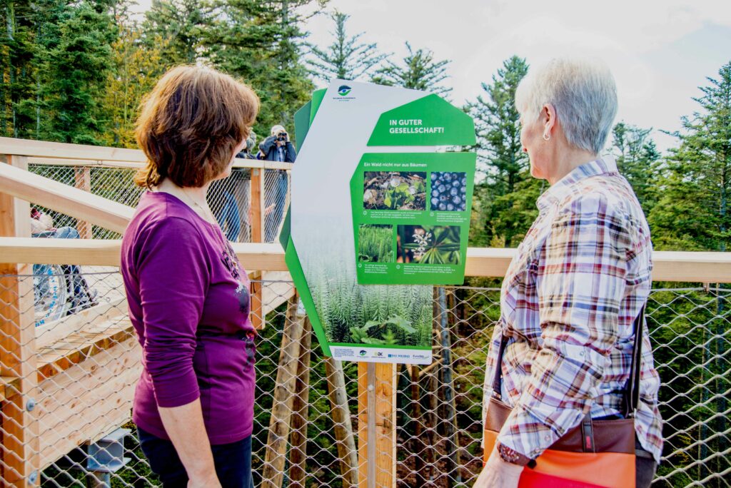 Baumwipfelpfad Schwarzwald