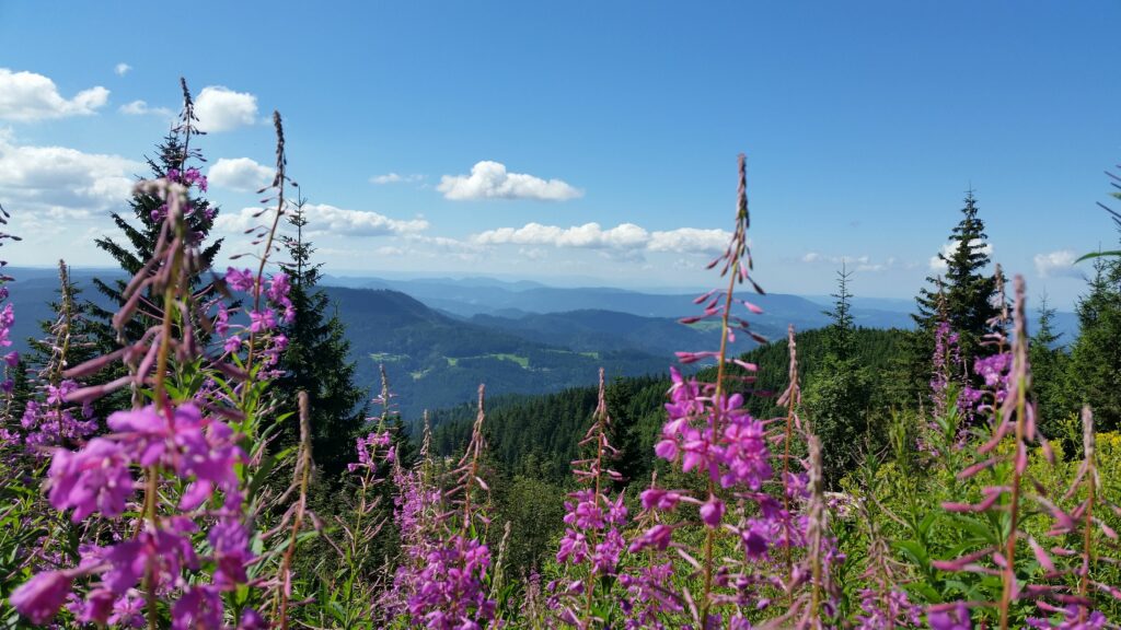 Achertäler Bike & Tal Panorama-Runde
