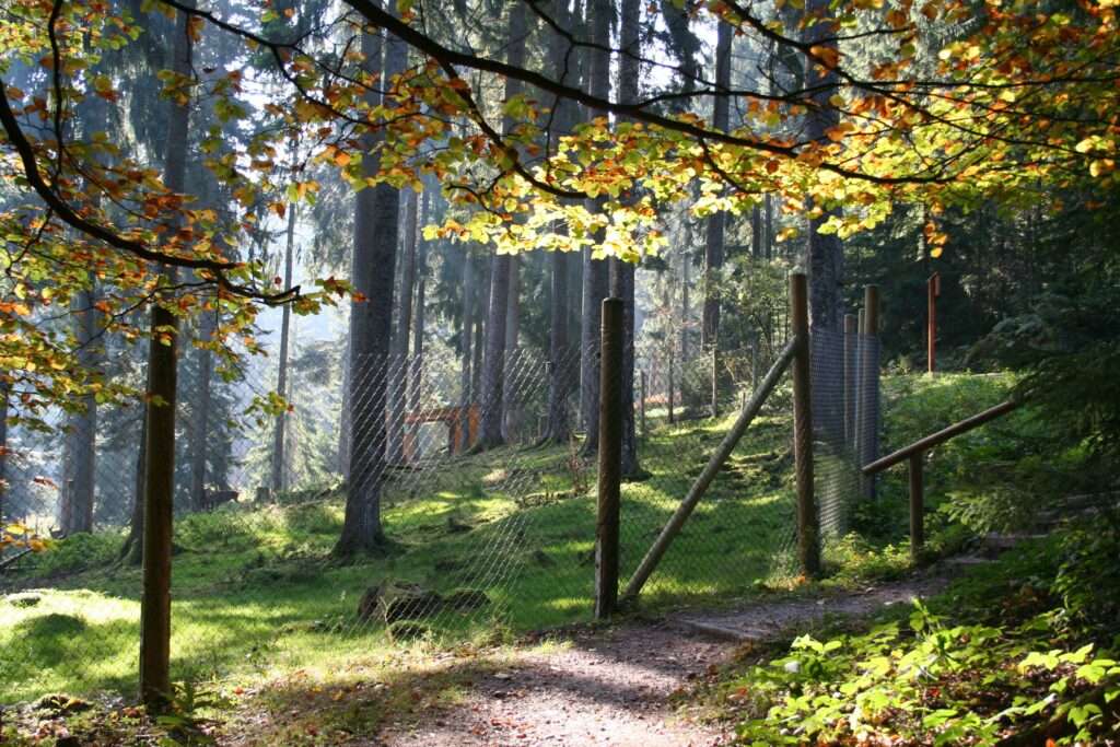 Alpirsbacher Tourentipp: Freudenstadt Berg und Tal