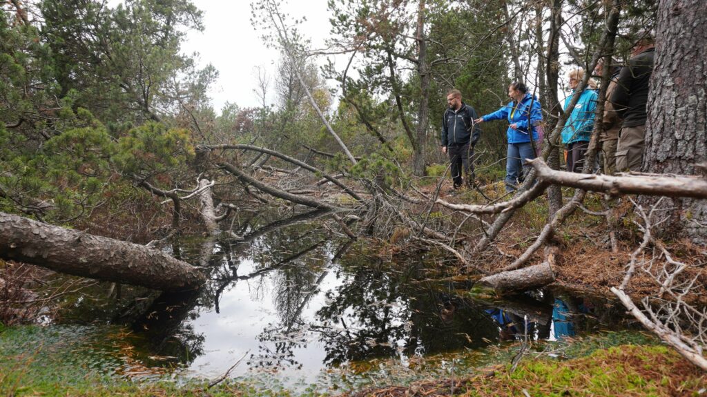 Ausbildung Klimabotschafter 2021 Schwarzwald-Guides