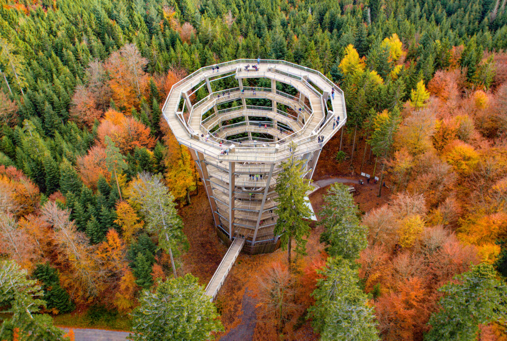 Halloween auf dem Baumwipfelpfad Schwarzwald