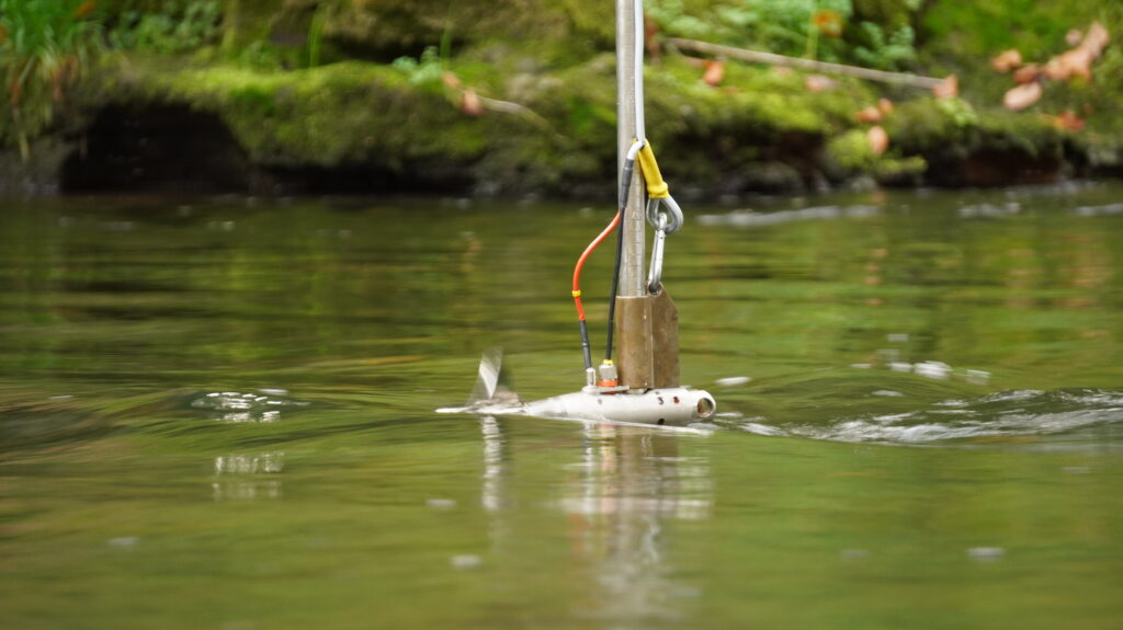 Ausbildung Klimabotschafter 2021 Schwarzwald-Guides