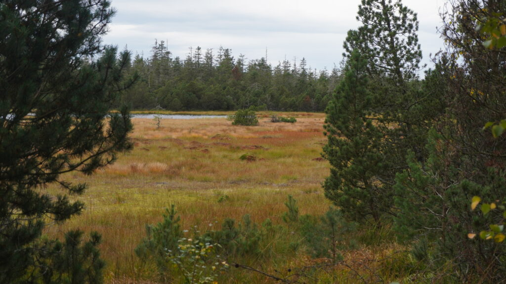 Ausbildung Klimabotschafter 2021 Schwarzwald-Guides