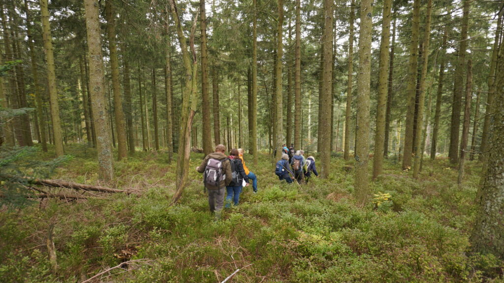 Klimabotschafter-Ausbildung Wald, regenerative Energien und badenova
