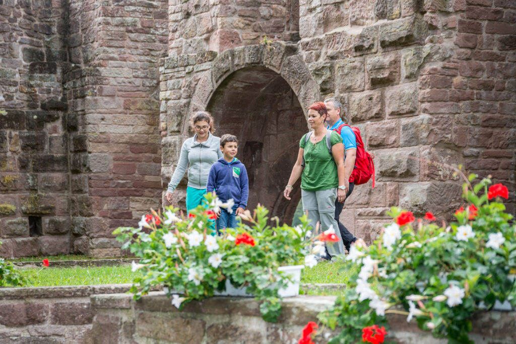 Alpirsbacher Tourentipp - AugenBlick-Runde Wildberg