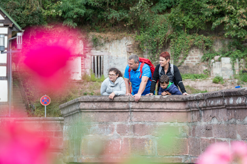Alpirsbacher Tourentipp - AugenBlick-Runde Wildberg