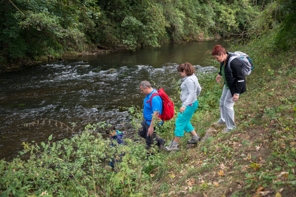 Alpirsbacher Tourentipp - AugenBlick-Runde Wildberg