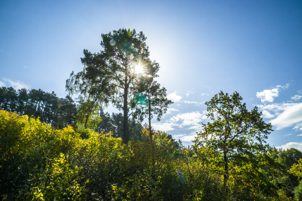 Alpirsbacher Tourentipp - AugenBlick-Runde Wildberg