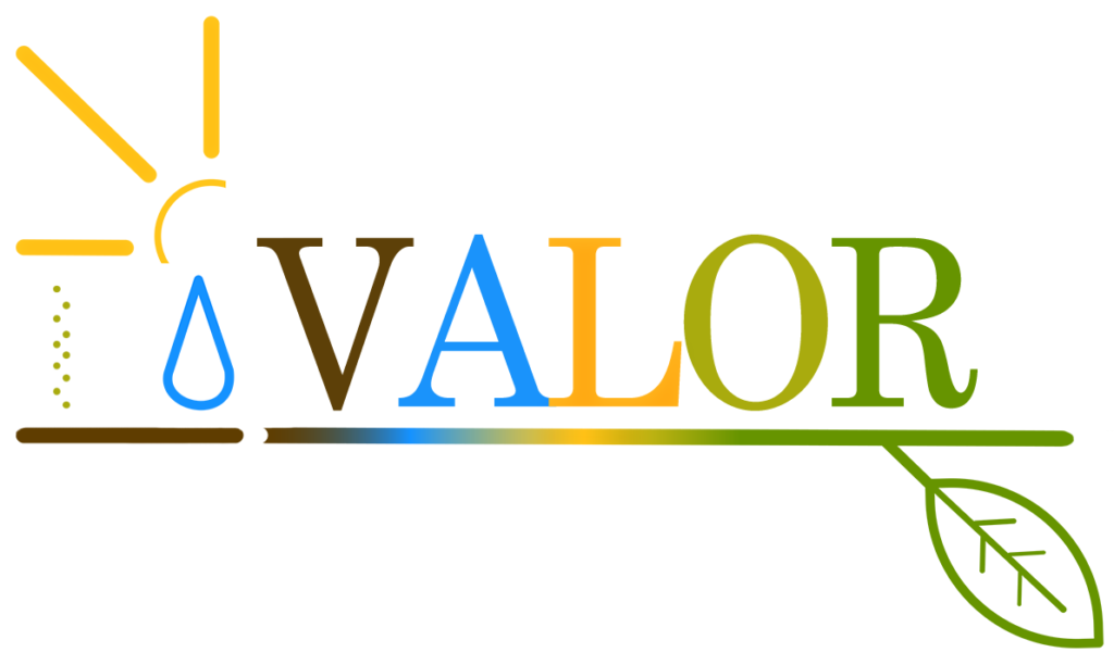 Logo Valor