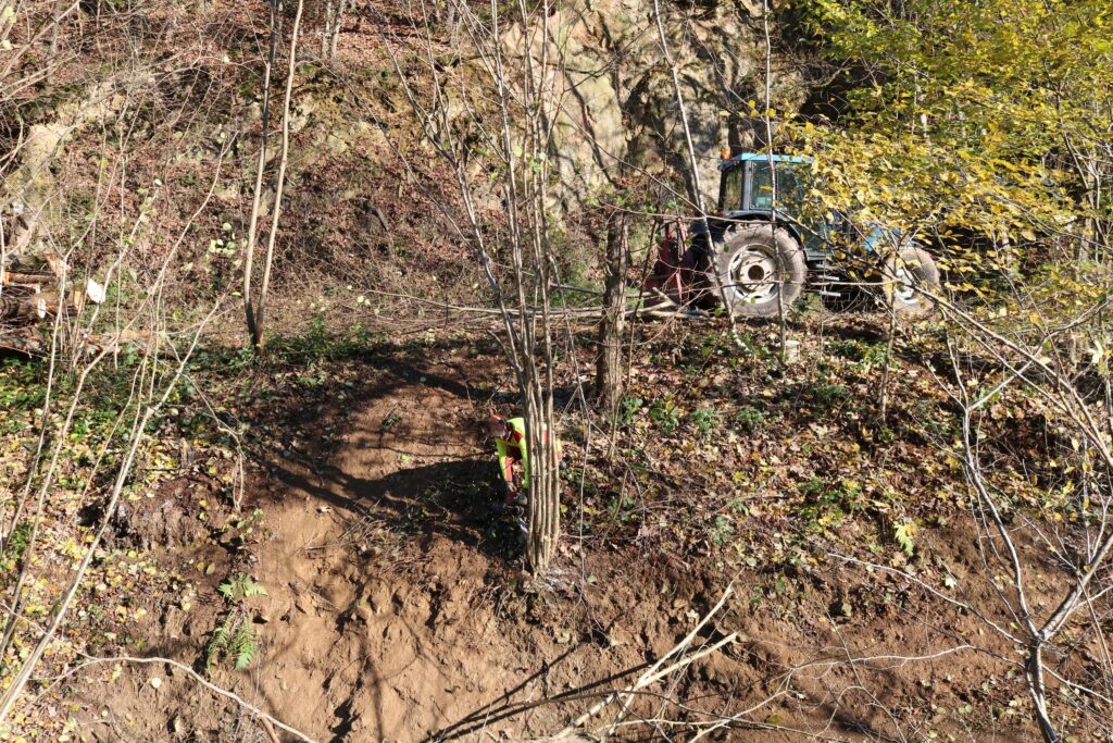 Herzenssache Natur Oberharmersbach - Ortenauer Landschaftspflegetag