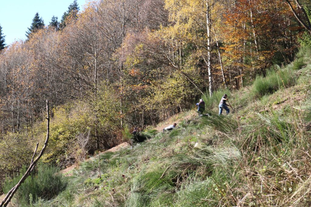 Herzenssache Natur Oberharmersbach - Ortenauer Landschaftspflegetag