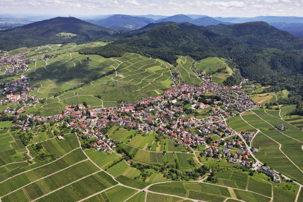 Erste Auszeichnung zum Naturpark-Partner für Weingut Schloss Neuweier
