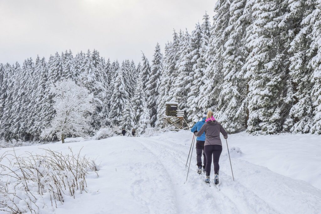 AOK-Gesundheitstipp: Fit auf den schönsten Loipen im Naturpark